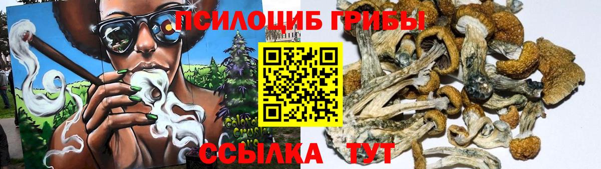 Галлюциногенные грибы Magic Shrooms Набережные Челны